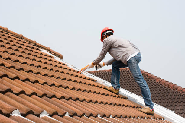 Best Metal Roofing Installation  in Colquitt, GA